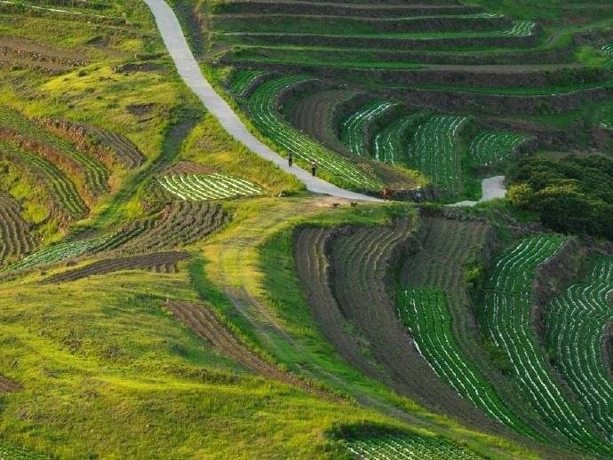 全国全域土地综合整治试点公布,寿光、安丘两乡镇入选